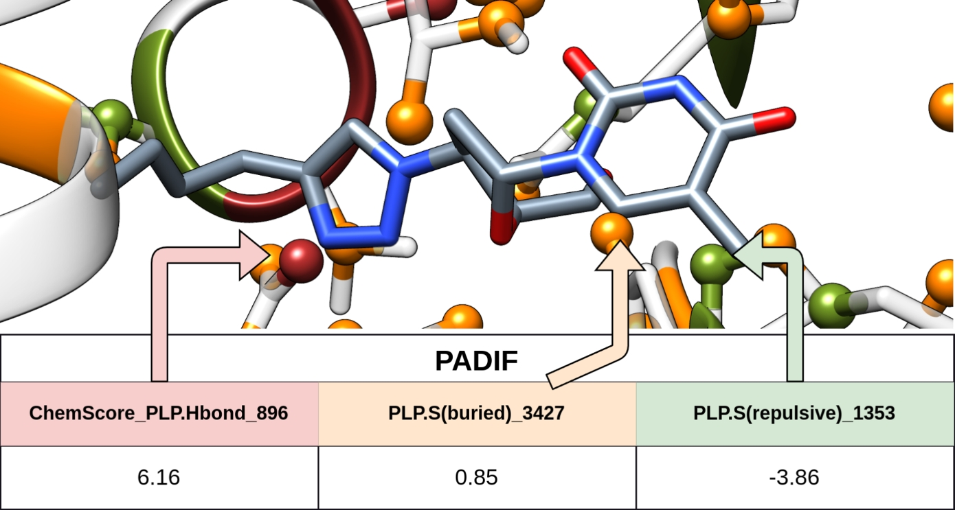 PADIF-wf workflow